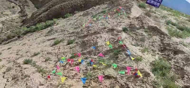 1634878346585960.jpg 285ec0d4437cc813f7773babe875fa4.jpg